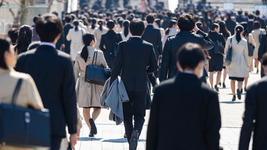 駒沢大学 就職実績